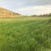 Piccolo Seminativo rif.667