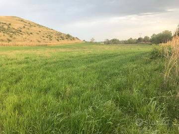 Piccolo Seminativo rif.667