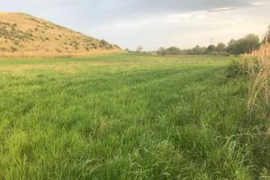 Piccolo Seminativo rif.667