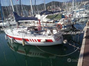 BARCA VELA KOALA 34