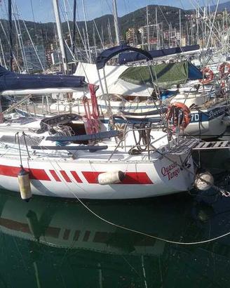 BARCA VELA KOALA 34