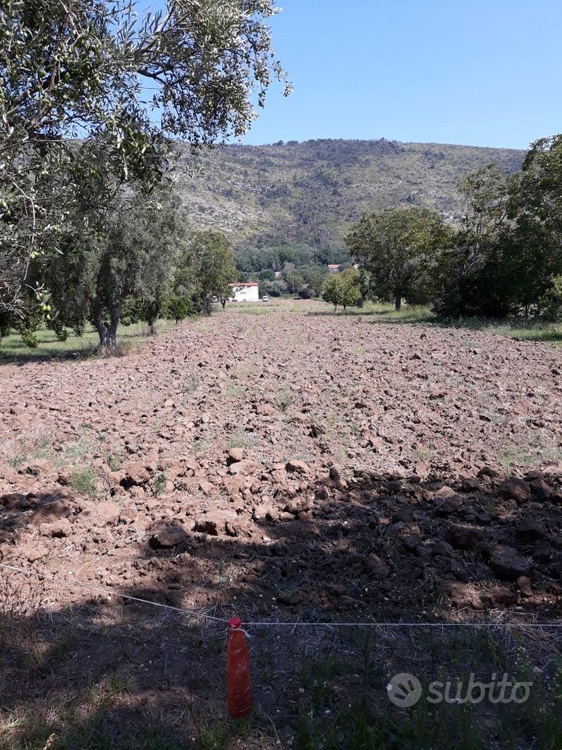 Terreno agricolo 4897 mq - bellona - Vista 5