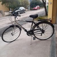 Bicicletta da uomo