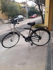 Bicicletta da uomo