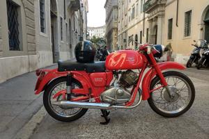 Moto Guzzi Altro modello - Anni 60