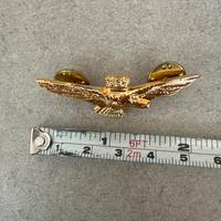 Aquila Turrita mini Pilota Militare