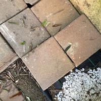 Mattoni per giardino