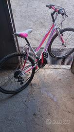 Bici Mountain bike District 24 girl