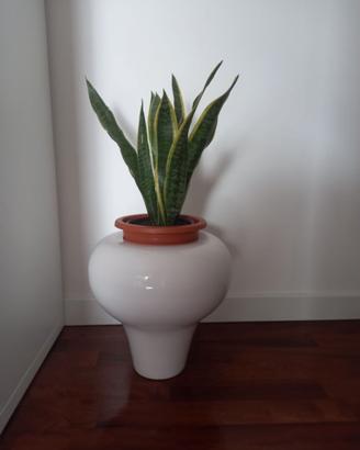 Vaso Tob di Adriani & Rossi