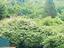 Immagine 22