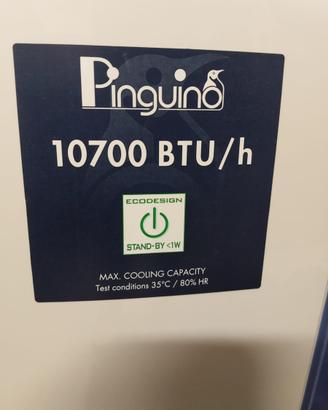 Pinguino DeLonghi 10700 BTU/h