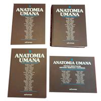 4 volumi "Anatomia Umana", Balboni et alii