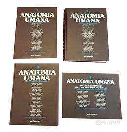4 volumi "Anatomia Umana", Balboni et alii