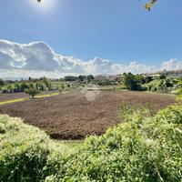 TER. AGRICOLO A SAN CLEMENTE