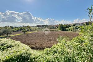 TER. AGRICOLO A SAN CLEMENTE