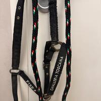 Equitazione per cavallo