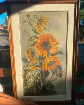 Girasoli F. Pasella