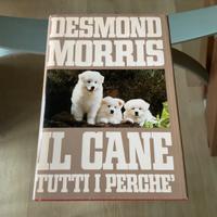 Il cane tutti i perché