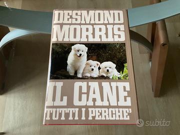 Il cane tutti i perché