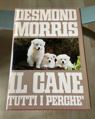 Il cane tutti i perché