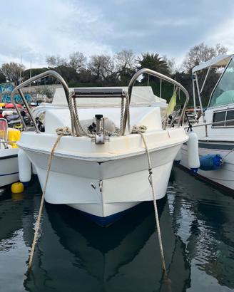 Saver 540 Cabin Fish