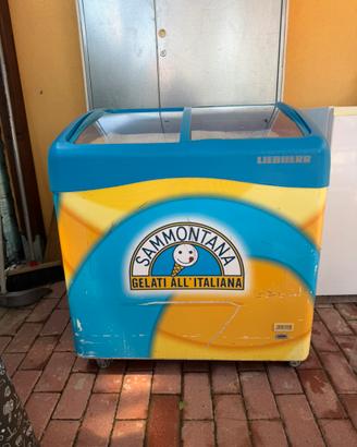 Freezer sammontana