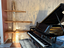 Immagine 8