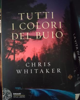 Tutti i colori del buio - Chris Whitaker 