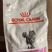 Crocchette Renal gatto