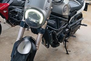 Benelli leoncino 800 trail