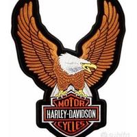 Maxi Toppa Patch Aquila Eagle 2434 CM Harley Gold