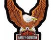 Maxi Toppa Patch Aquila Eagle 2434 CM Harley Gold