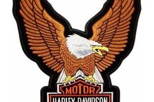 Maxi Toppa Patch Aquila Eagle 2434 CM Harley Gold