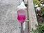 Immagine 3