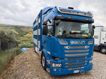 SCANIA R730 TRASPORTO ANIMALI VIVI