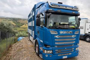 SCANIA R730 TRASPORTO ANIMALI VIVI