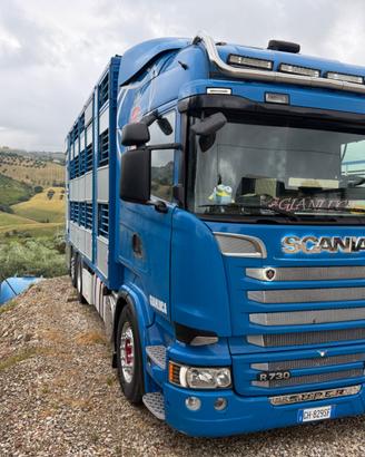 SCANIA R730 TRASPORTO ANIMALI VIVI