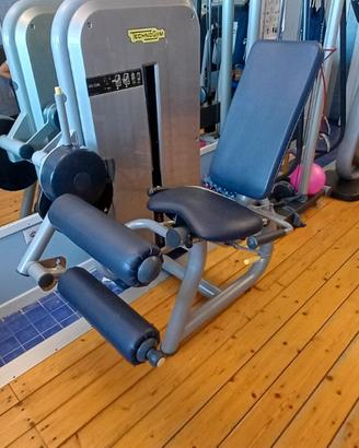 Attrezzo palestra LEG CURL TECHNOGYM