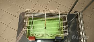 gabbia per uccelli da compagnia 