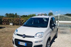 Fiat Panda + passaggio incluso