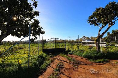 Terreno Agricolo Tortolì [Cod. rif 3286470VCG]