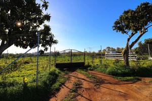 Terreno Agricolo Tortolì [Cod. rif 3286470VCG]