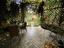 Immagine 16