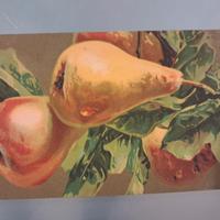 Cartolina postale del '900