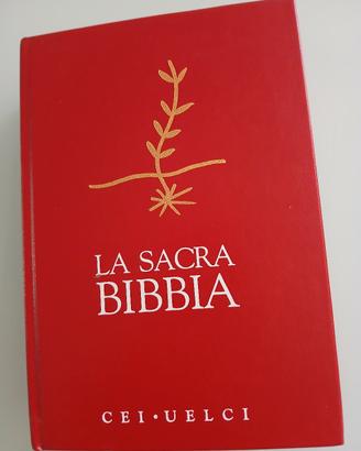 "La La Sacra Bibbia CEI-UELCI", 2008.

