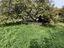 Immagine 24