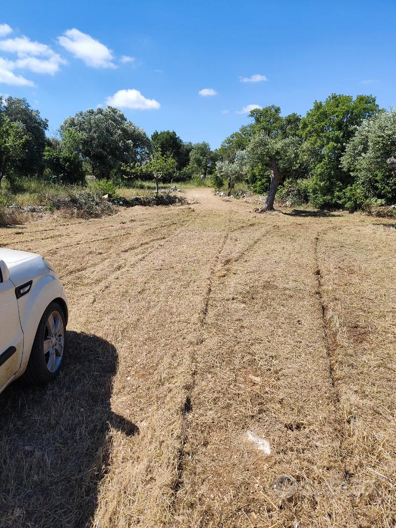 Vendita terreno con trullo - Vista 4