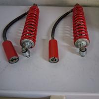 Ammortizzatori Corte Cosso