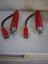 Ammortizzatori Corte Cosso