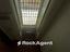 Immagine 12